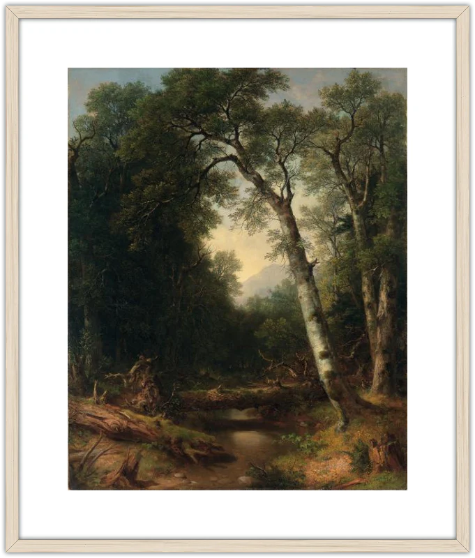 Un arroyo en el bosque - Image 11