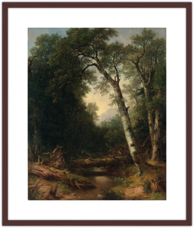 Un arroyo en el bosque - Image 12