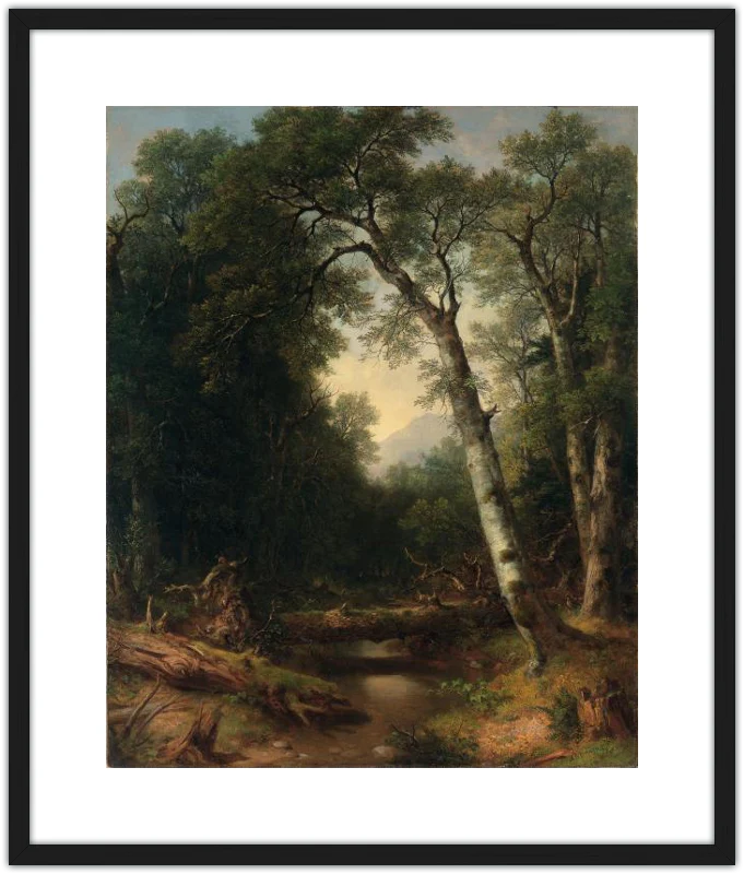 Un arroyo en el bosque - Image 13