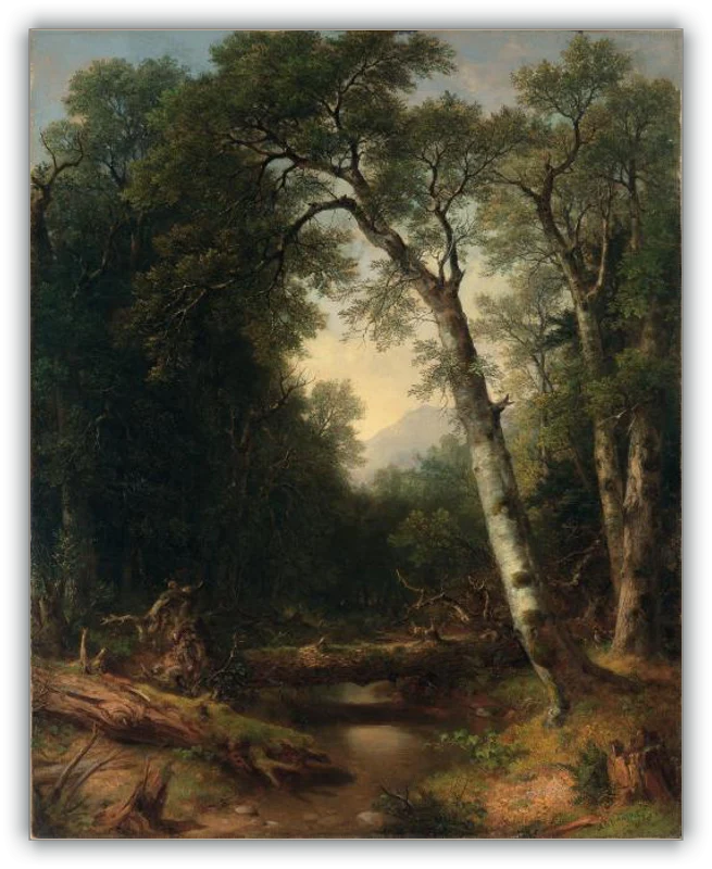 Un arroyo en el bosque - Image 15