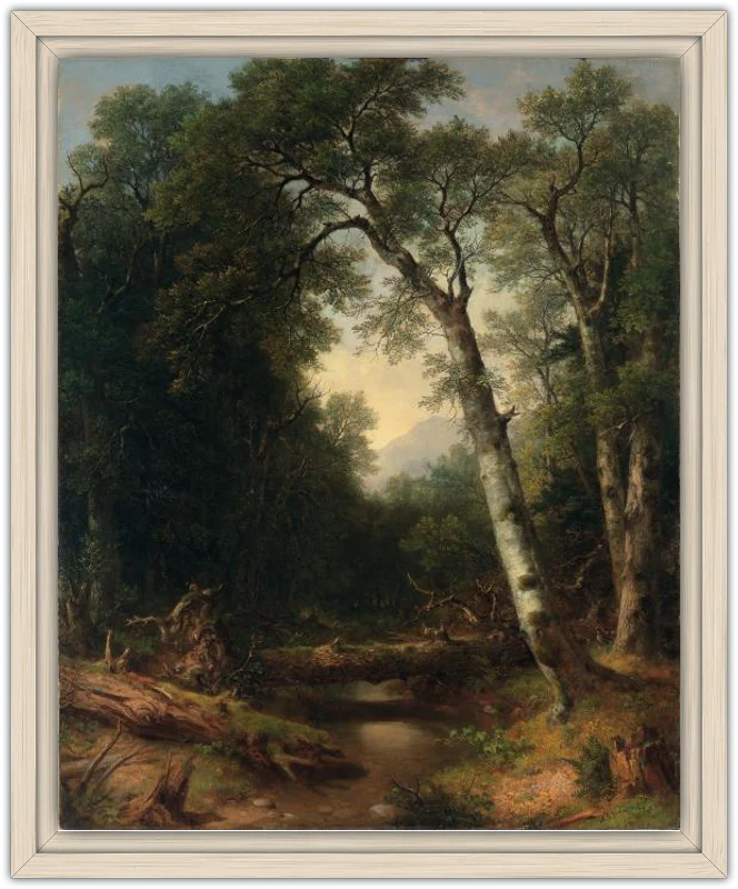 Un arroyo en el bosque - Image 16