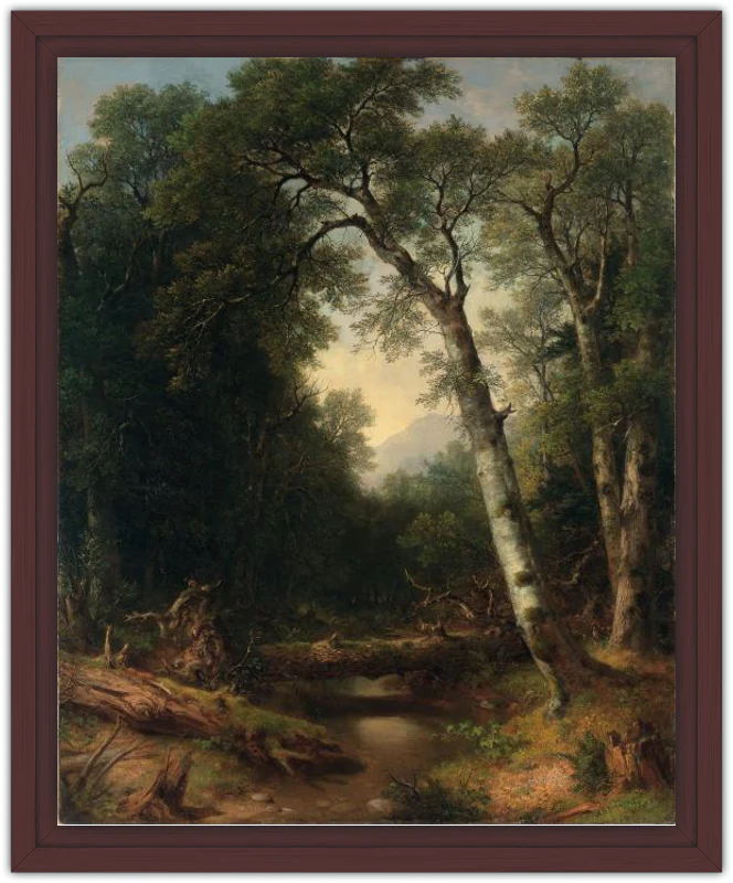 Un arroyo en el bosque - Image 17