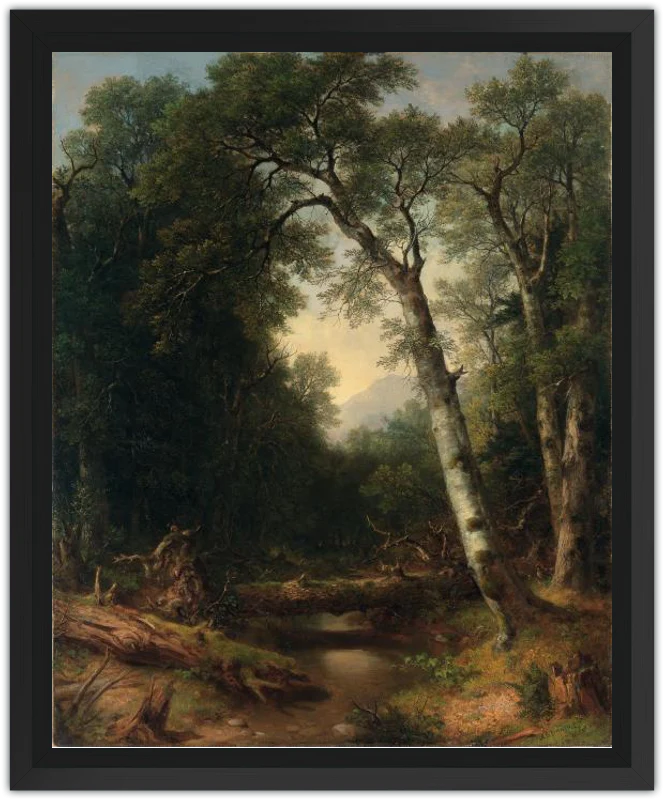 Un arroyo en el bosque - Image 18