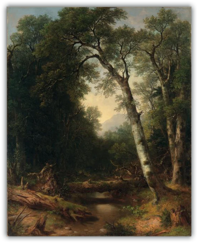 Un arroyo en el bosque - Image 20