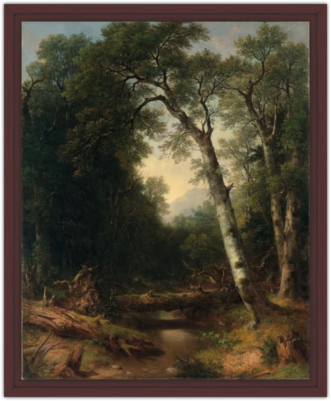 Un arroyo en el bosque - Image 22