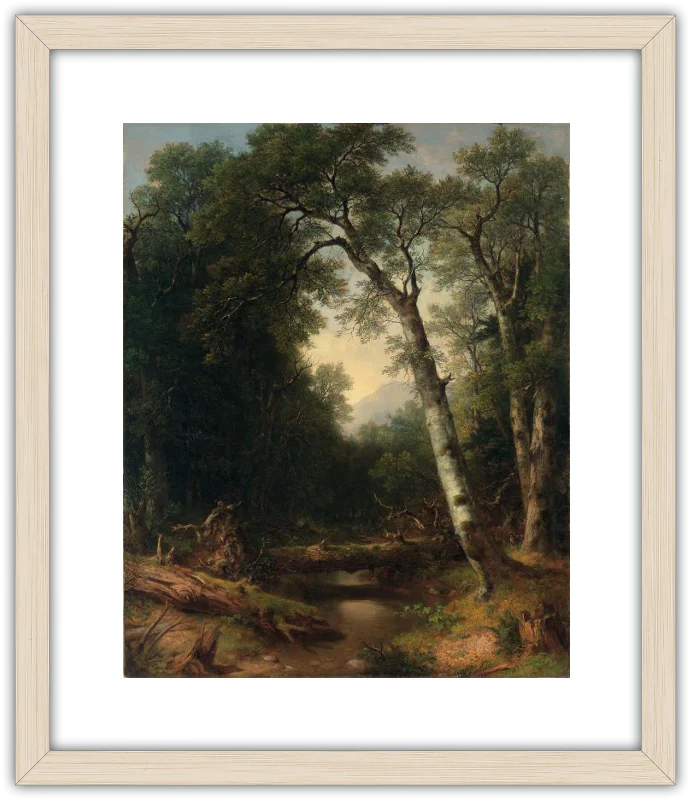 Un arroyo en el bosque - Image 3