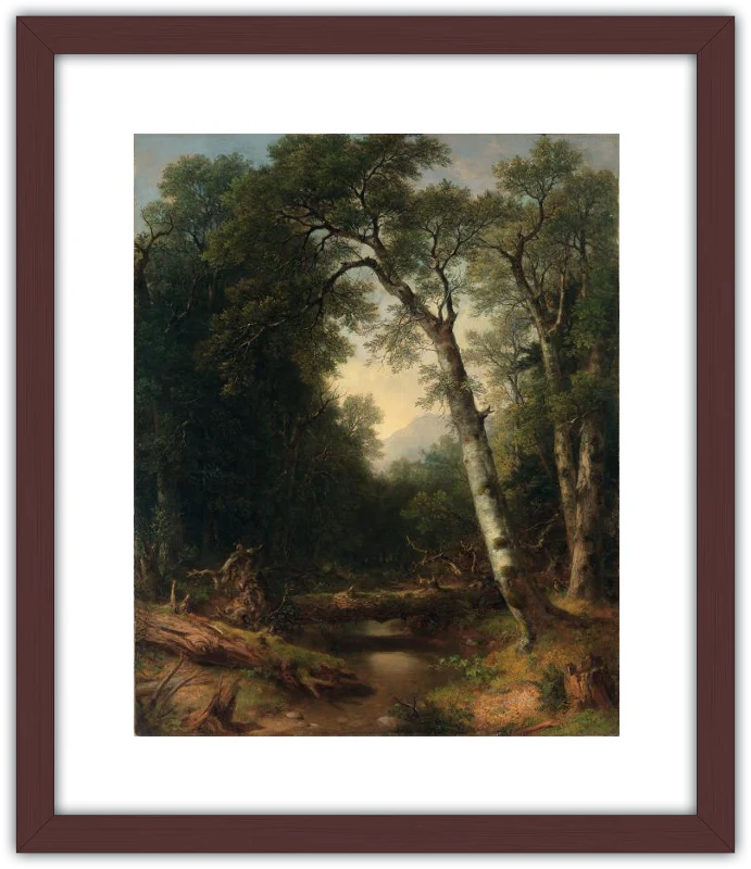 Un arroyo en el bosque - Image 4