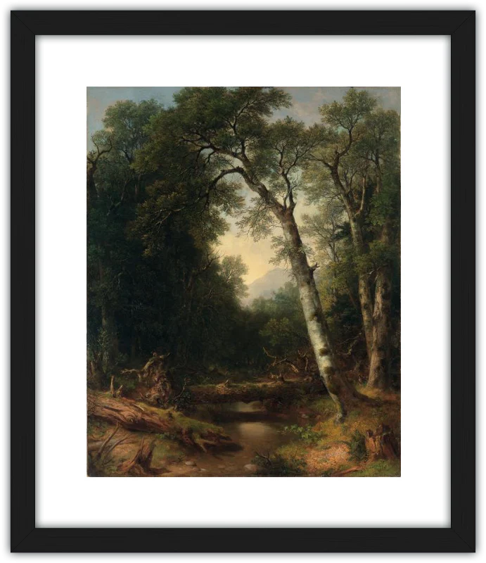 Un arroyo en el bosque - Image 5