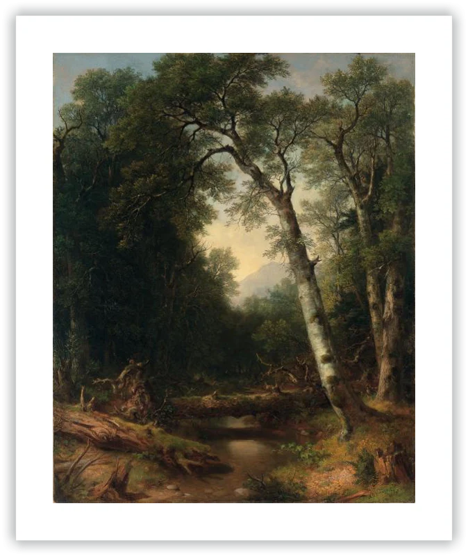 Un arroyo en el bosque - Image 6