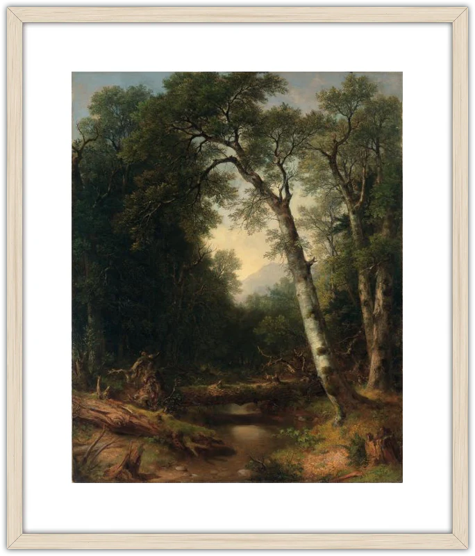 Un arroyo en el bosque - Image 7