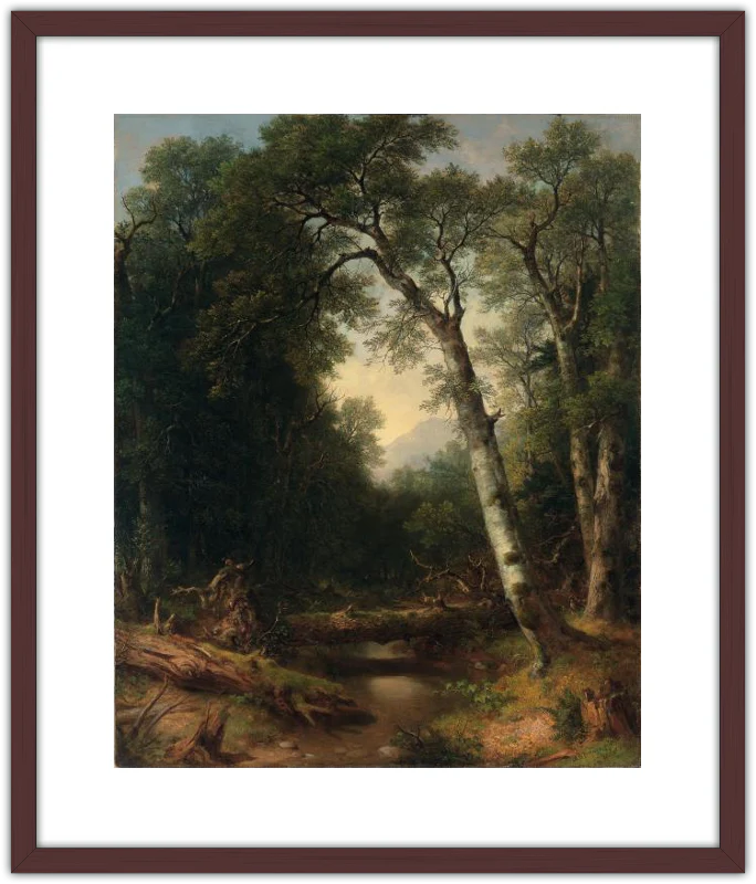 Un arroyo en el bosque - Image 8