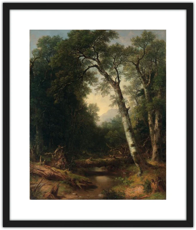 Un arroyo en el bosque - Image 9