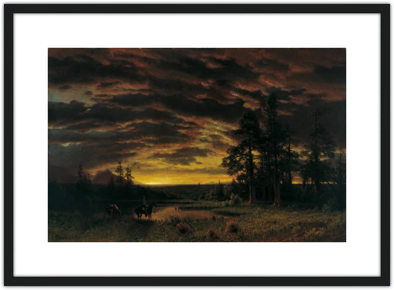 Atardecer en la pradera - Image 13