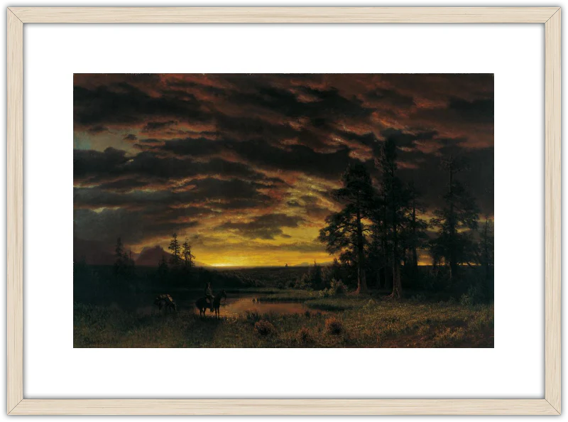 Atardecer en la pradera - Image 7