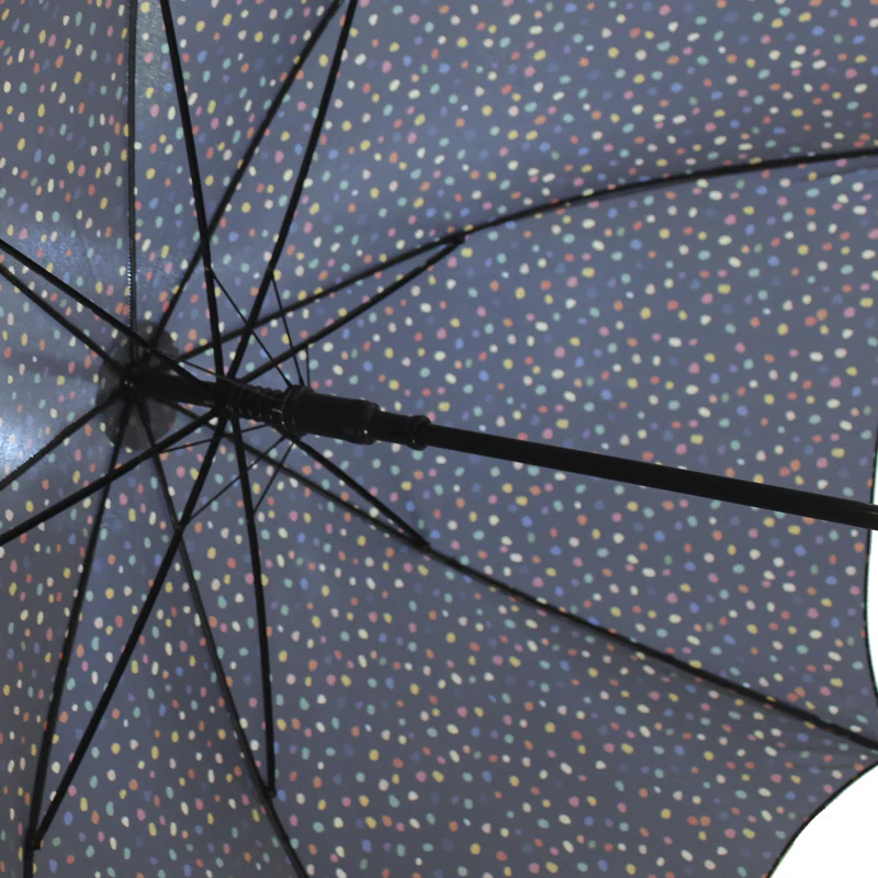 Paraguas Ludwigskirche Kandinsky - Image 3