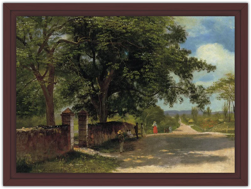 Calle en Nassau - Image 17