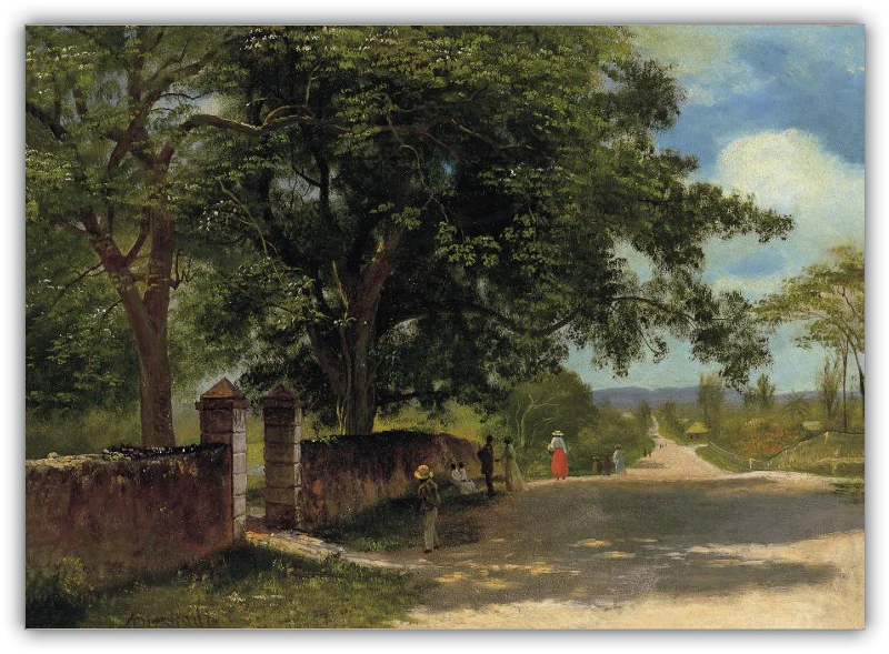 Calle en Nassau - Image 20