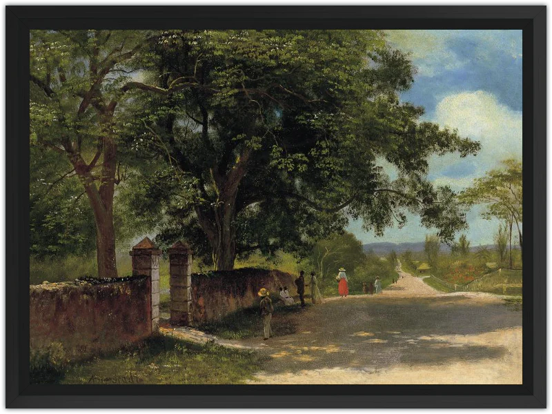 Calle en Nassau - Image 23